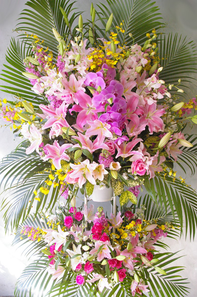 �X�^���h�ԁ@��c��